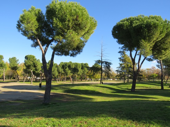 Parque de Pradolongo. Autor: Fernando Juli&aacute;n Sanz