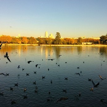 Secretos del Lago