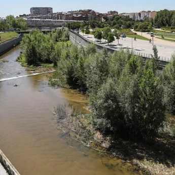 Itinerario de Casa de Campo a Madrid Río I