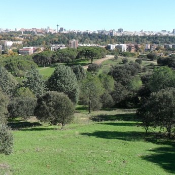 Paisaje y geomorfología de la Casa de Campo