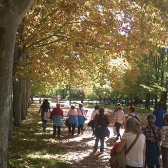 Riqueza botánica de la Casa de Campo