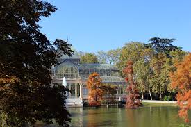 Árboles del Retiro