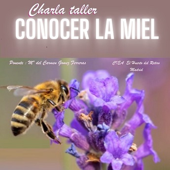 Imagen de la Charla-Taller: conocer la miel