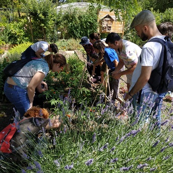 Imagen del Curso de Huerto Ciudadano