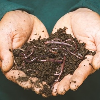 Imagen del Taller de Vermicompostaje