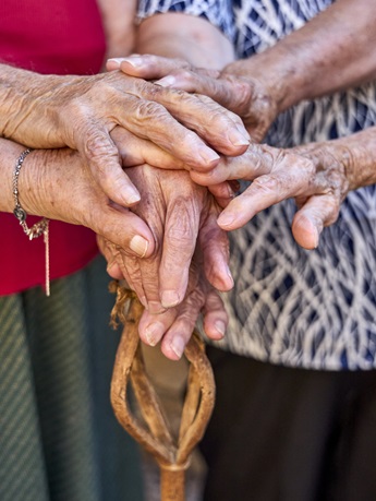 Imagen de la exposición El legado de las pastoras.