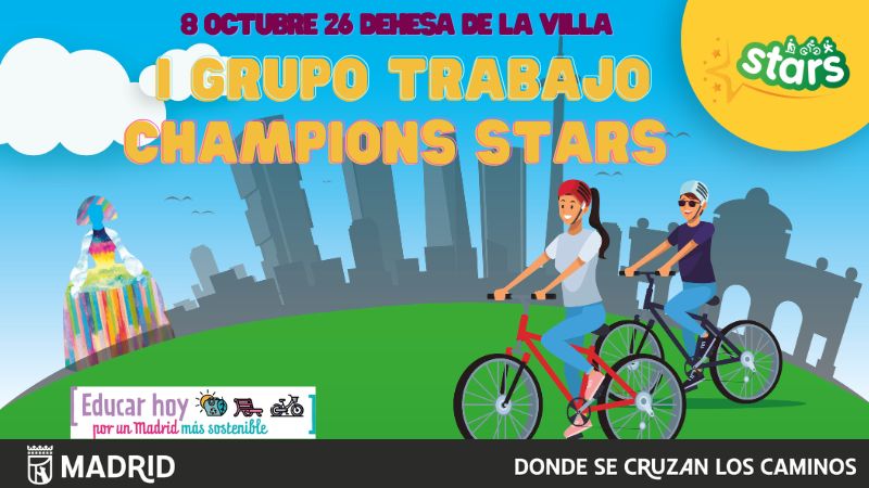 cartel del grupo de trabajo STARS