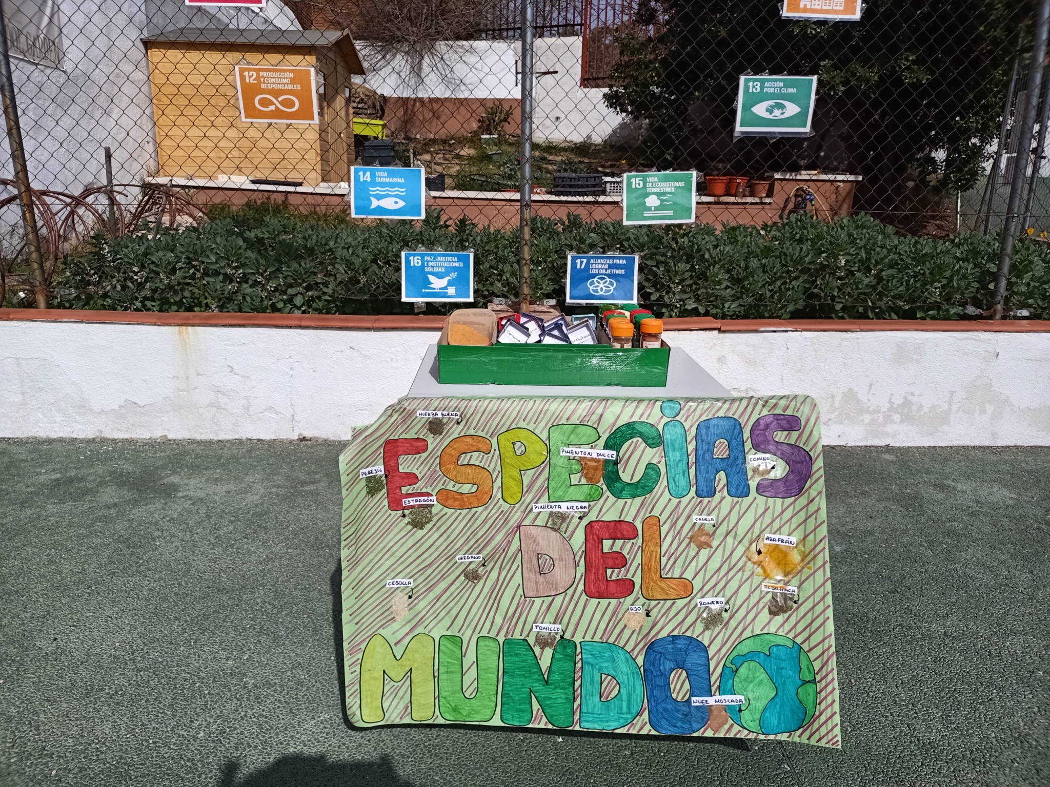 Taller de reconocimiento de especias CEIP Pablo Picasso