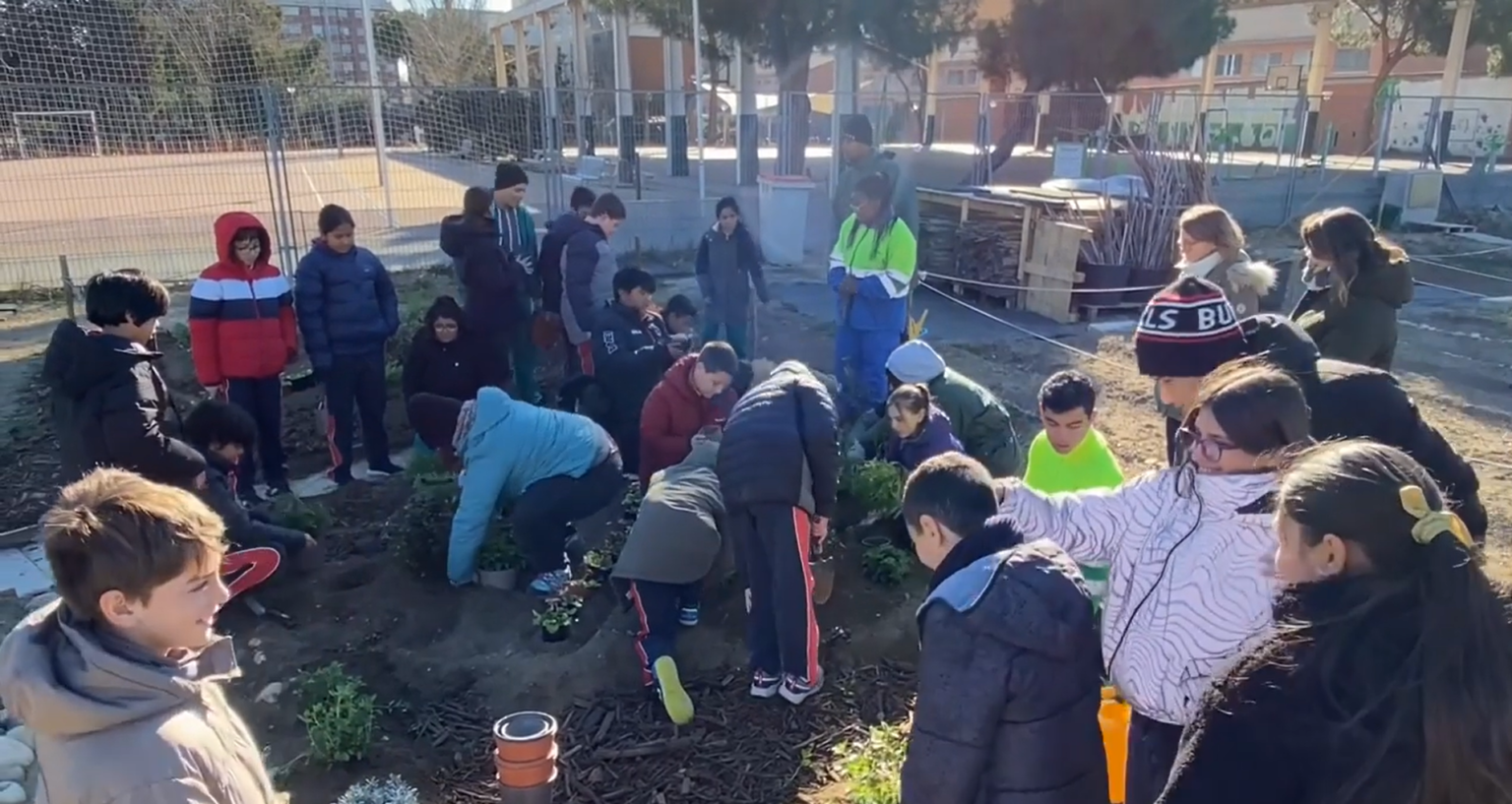 Trabajos hortícolas