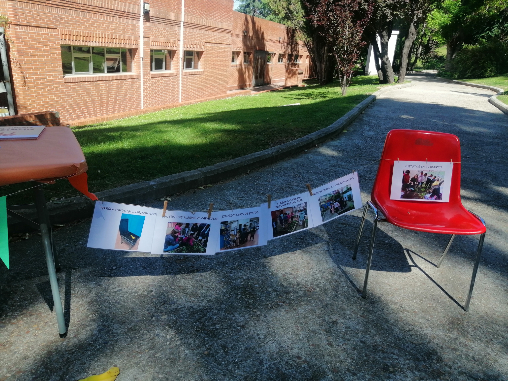 Exposición al aire libre