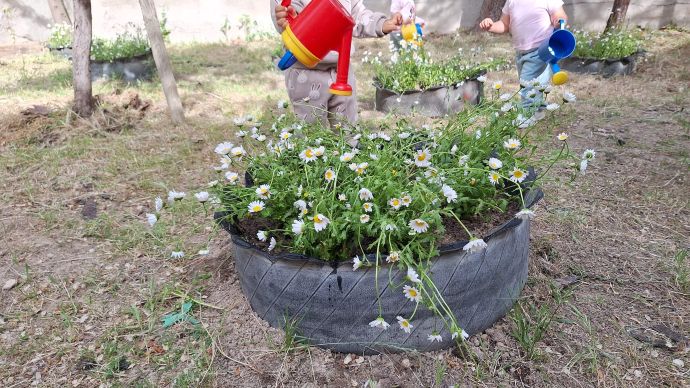 Oasis de mariposas en el patio de la Escuela Infantil Los Girasoles de Madrid
