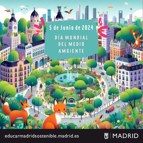 Día Medio Ambiente 2024