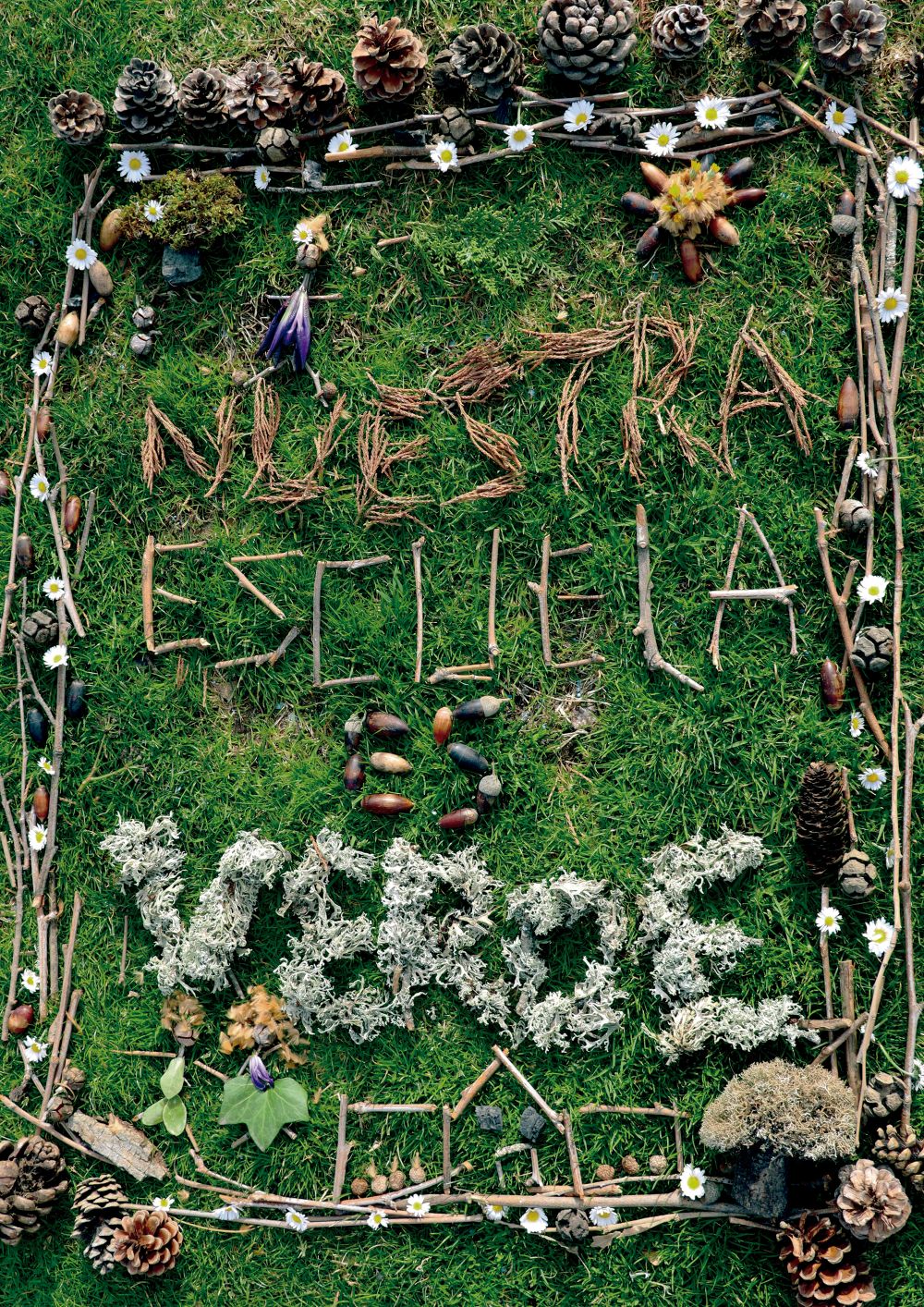 Ganador categor&iacute;a B