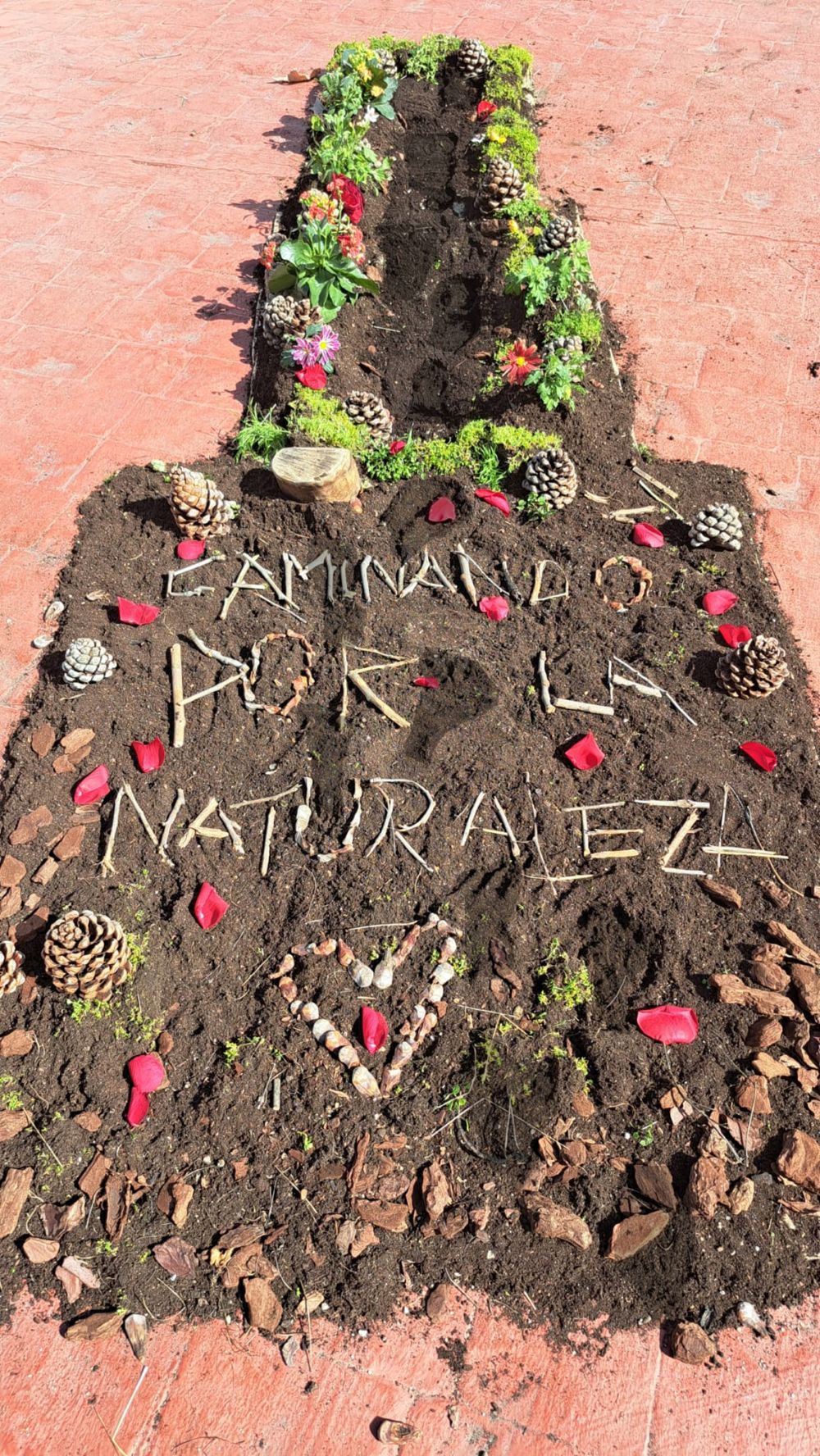 Ganador Categor&iacute;a C