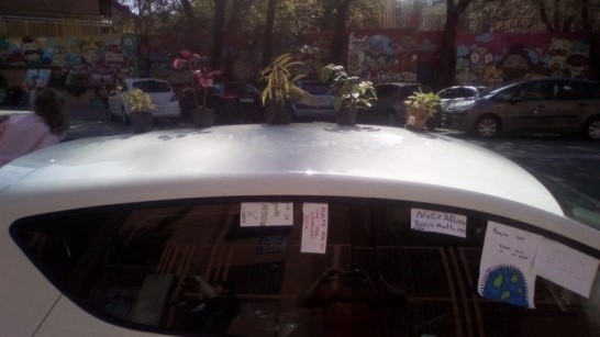 "Multas" y plantas en coche estacionado