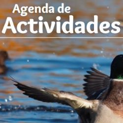 Detalle portada de la agenda de actividades verano 2025