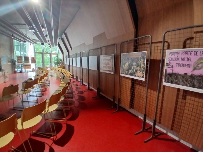 Exposici&oacute;n en la biblioteca
