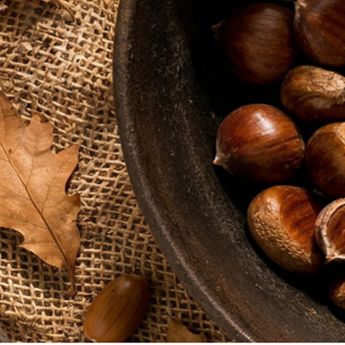 Programa de Actividades Ambientales Hábitat Madrid